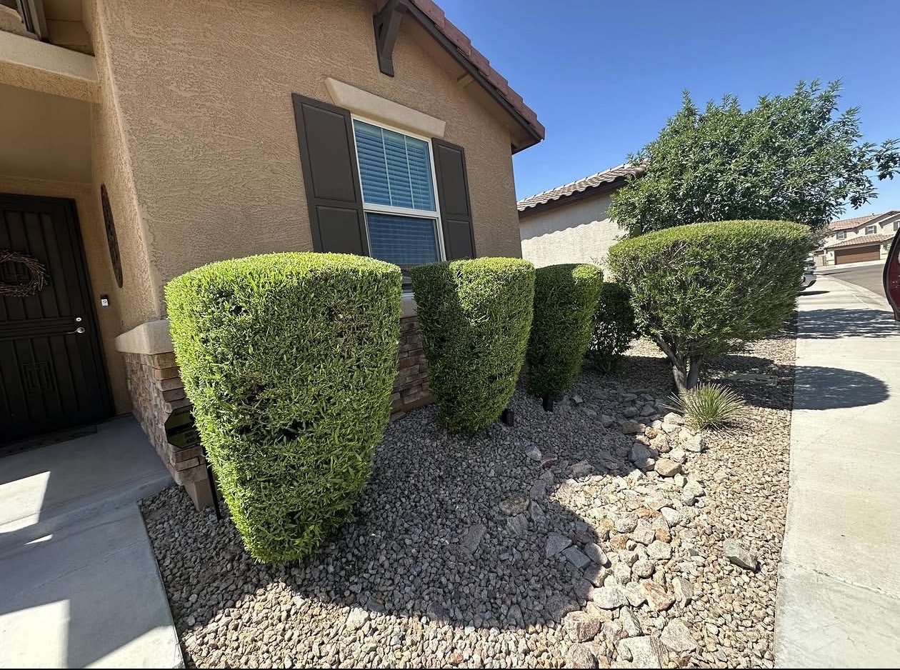 Shrub trimming Mesa AZ