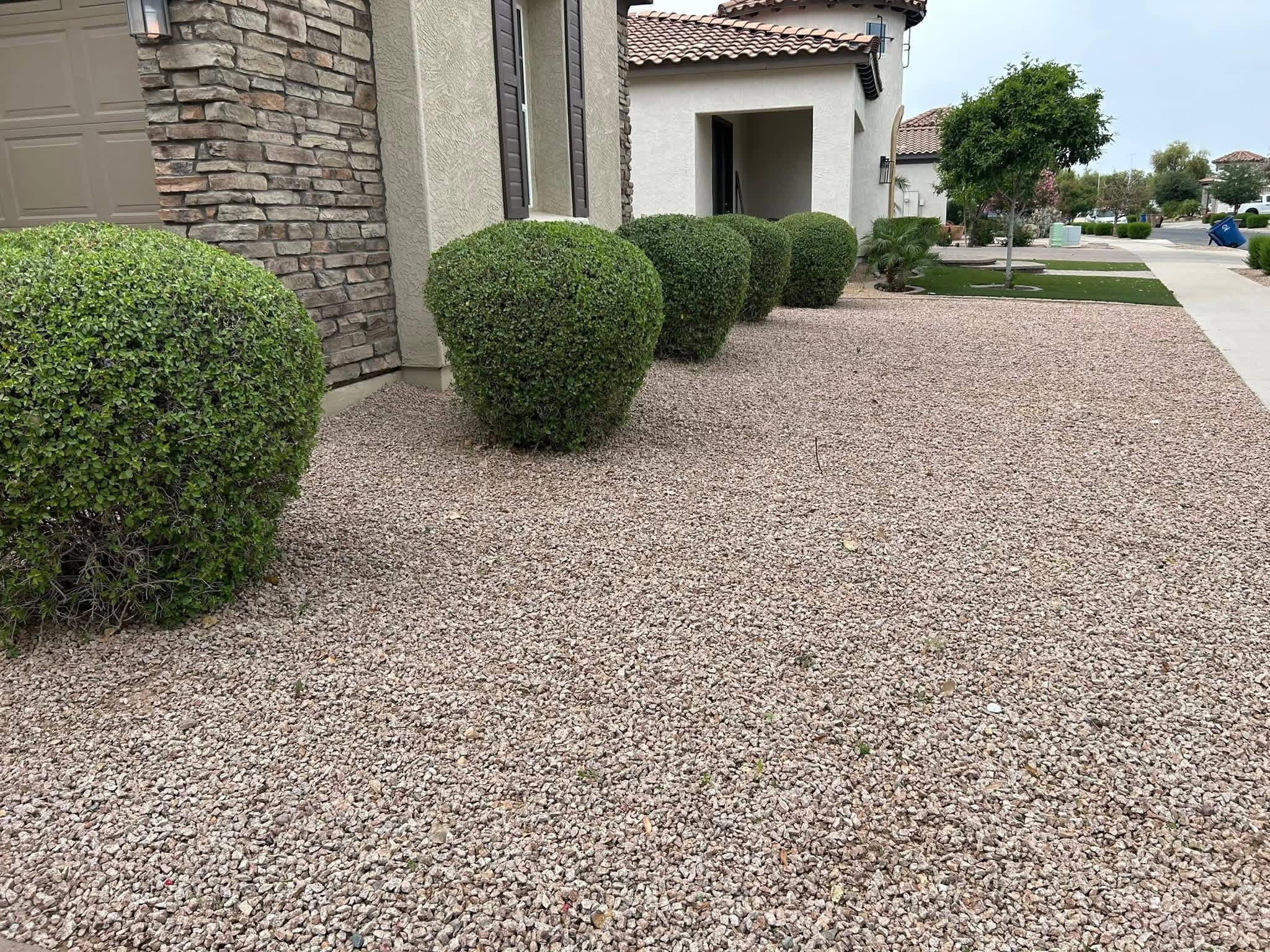 Desert landscape maintenance